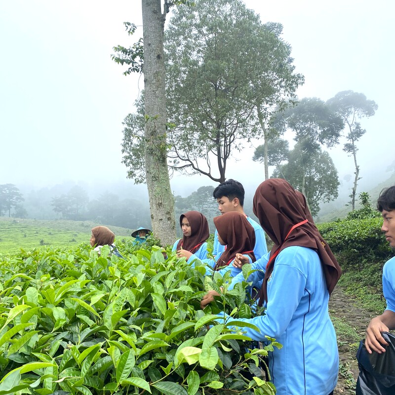 PRAMUKA - Pengalaman tak terlupakan di kebun teh wonosari